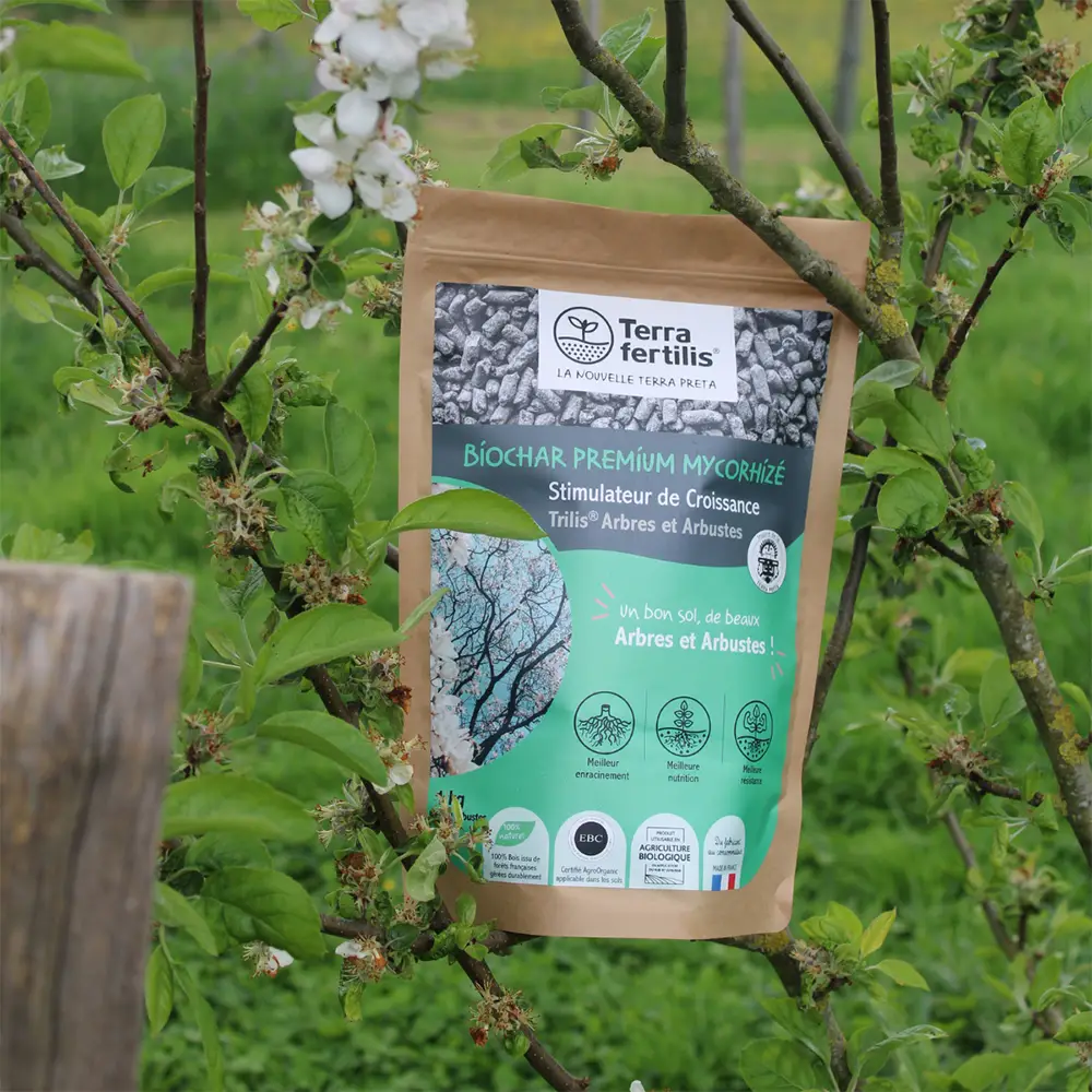 Promesse de fleurs Magasin -Promesse de fleurs Magasin 1474 004@66A761B2