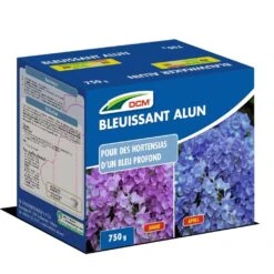 Bleuissant Hortensias DCM En Boîte De 750 Grammes (Alun Potassique)