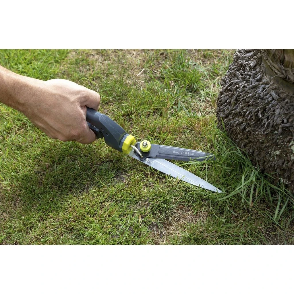 Cisaille à Gazon Burgon & Ball - Gamme RHS 6 Cisaille à Gazon Burgon & Ball - Gamme RHS – Image 4