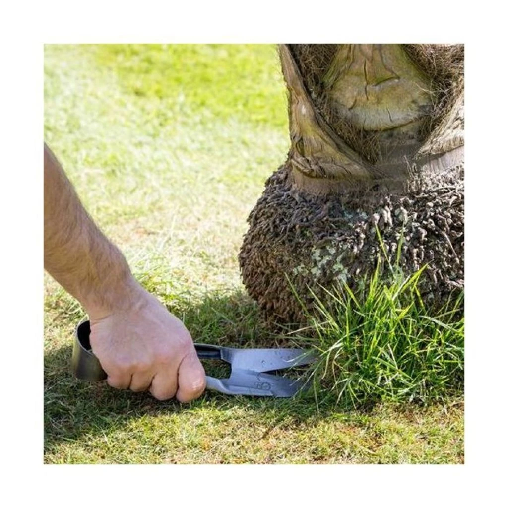 Cisaille à Gazon Et Buis Burgon & Ball - Gamme RHS 5 Cisaille à Gazon Et Buis Burgon & Ball - Gamme RHS – Image 3