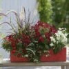 Collection Jardinière Rouge - 5 Variétés D'annuelles -Promesse de fleurs Magasin Collection Jardini re Rouge 82078 1