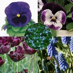 Collection Printemps Bleu Nuit -Promesse de fleurs Magasin Collection Printemps bleu nuit 82586 1