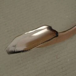 Cultivateur En Cuivre Modèle Pegasus - Gamme PKS Bronze 12 Cultivateur En Cuivre Modèle Pegasus - Gamme PKS Bronze -Promesse de fleurs Magasin Cultivateur en cuivre modele Pegasus Gamme Schauberger 99237 5