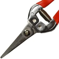 Epinette Traditionnelle Polet - Sécateur à Fruits -Promesse de fleurs Magasin EPINETTE TRADITIONNELLE 90773 2