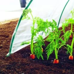 Film De Forçage Spécial Primeurs 2 X 5 M CLIMAFILM -Promesse de fleurs Magasin Film de forcage special primeurs 2x5m CLIMAFILM 91199 3