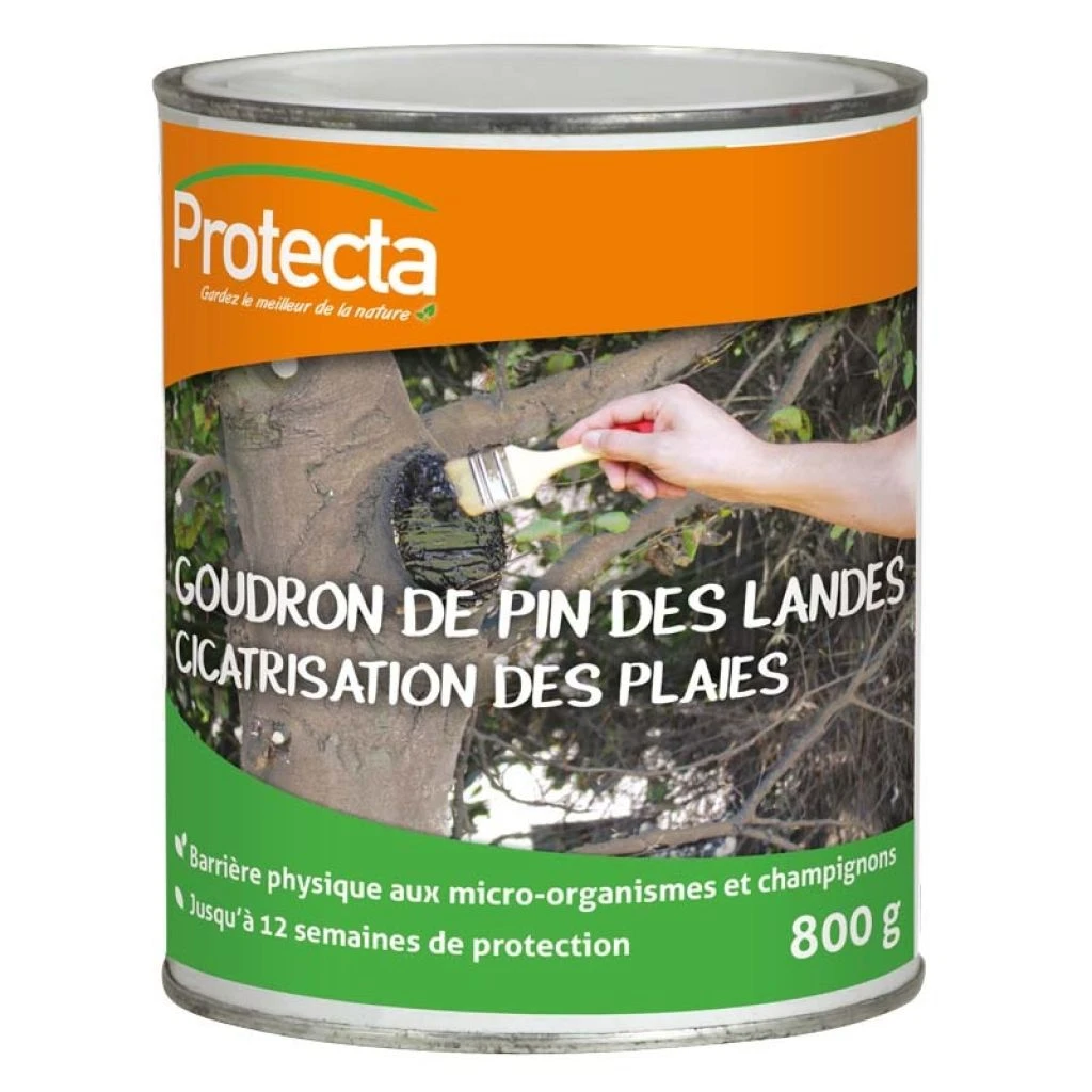 Goudron De Pin Des Landes Protecta Boîte De 800g 3 Goudron De Pin Des Landes Protecta Boîte De 800g