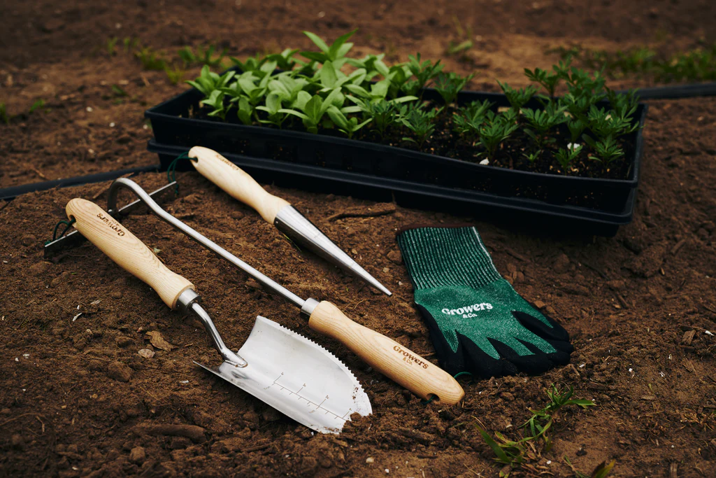 Promesse de fleurs Magasin -Promesse de fleurs Magasin