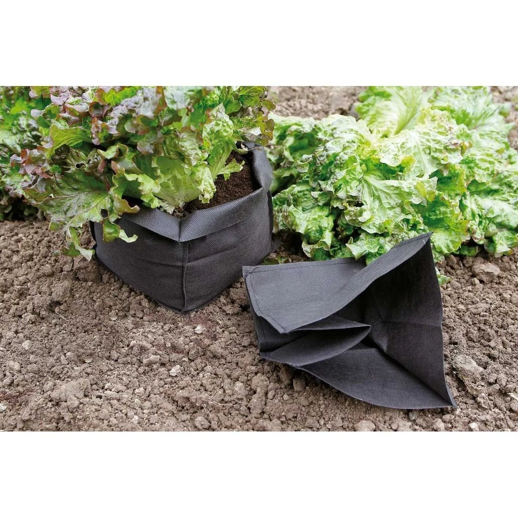 Sac De Plantation Pour Protéger Les Salades - Sachet De 12 3 Sac De Plantation Pour Protéger Les Salades - Sachet De 12