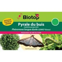 Phéromone Pyrale Du Buis Cydalima Perspectalis - 1 Capsule Longue Durée GINKO BUXUS