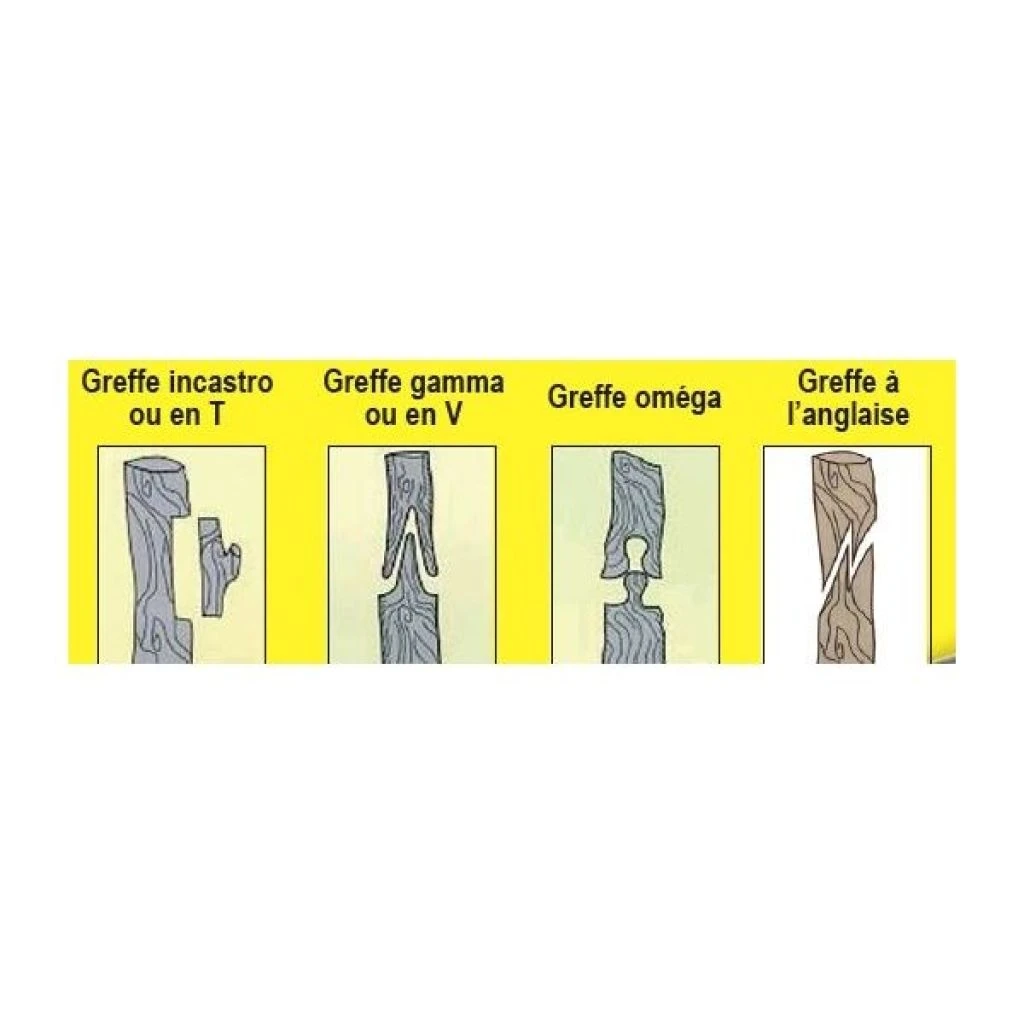 Pince à Greffer Italienne A45 7 Pince à Greffer Italienne A45 – Image 5