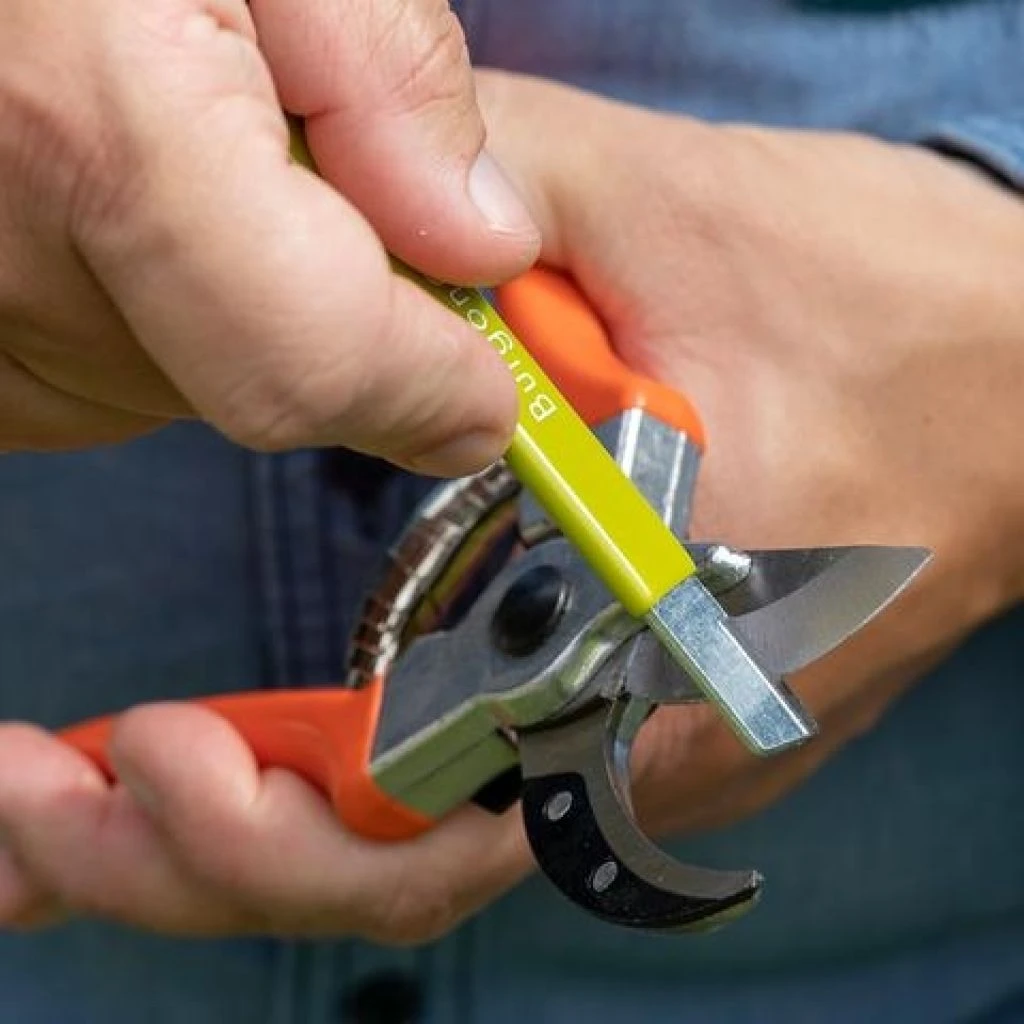 Restaurateur De Lame Burgon & Ball 3 Restaurateur De Lame Burgon & Ball