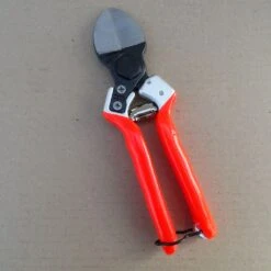 Sécateur Lady II - Double Lame