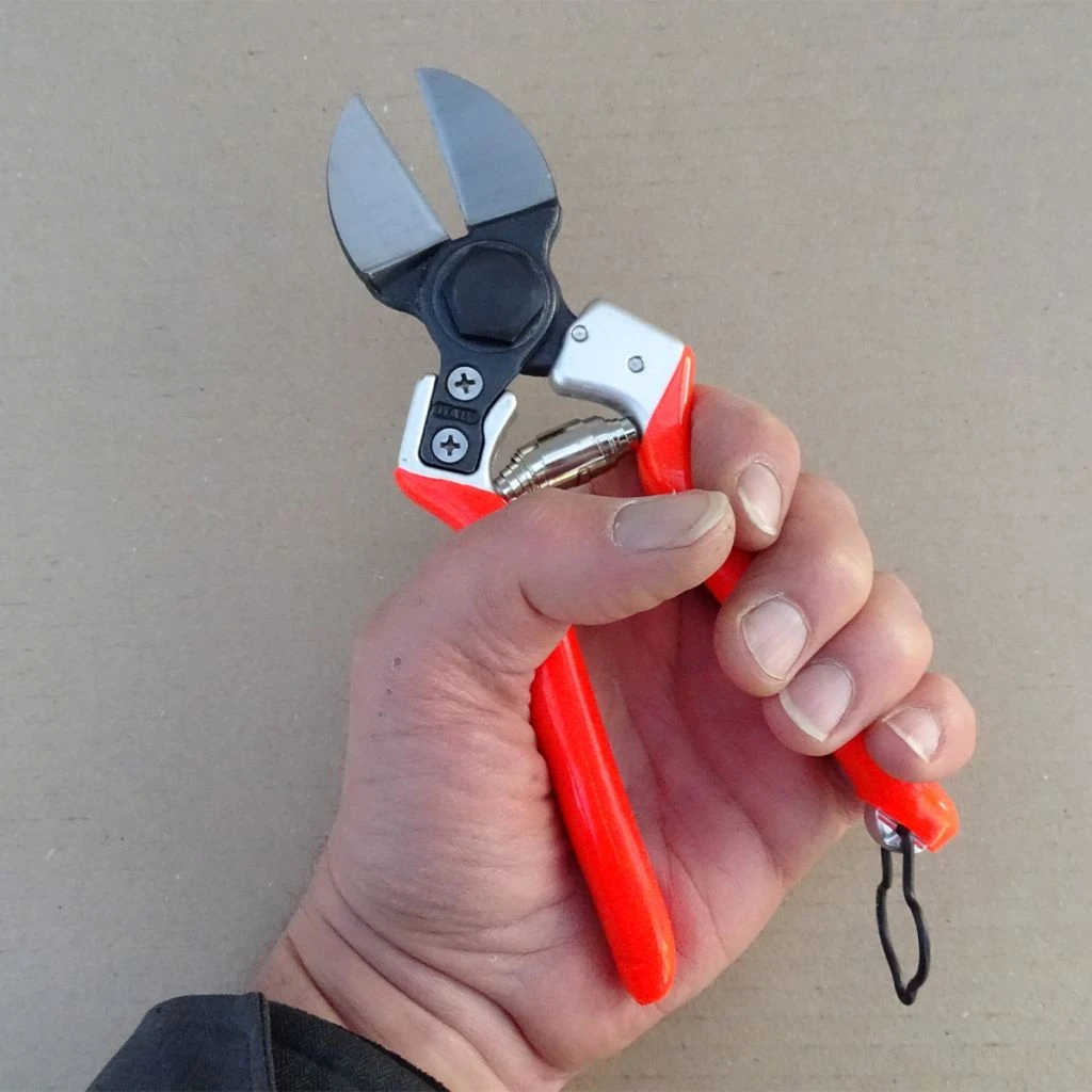 Sécateur Lady II - Double Lame 7 Sécateur Lady II - Double Lame – Image 5