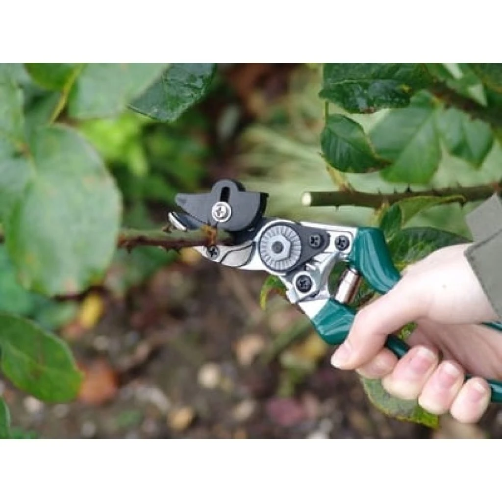 Sécateur à Rosiers Burgon & Ball - Gamme RHS 5 Sécateur à Rosiers Burgon & Ball - Gamme RHS – Image 3