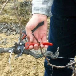 Sécateur Professionnel Ergonomique Taille S Tête N°2 Bahco PX-S2 -Promesse de fleurs Magasin Secateur professionnel ergonomique PX S2 988371 2