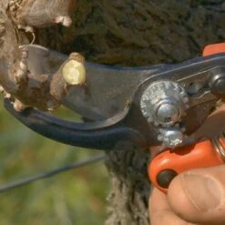 Sécateur Professionnel Ergonomique Taille S Tête N°2 Bahco PX-S2 -Promesse de fleurs Magasin Secateur professionnel ergonomique PX S2 988371 4