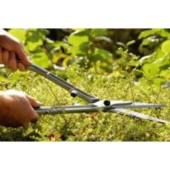 Taille-haie Pour Buis Burgon & Ball - Gamme RHS -Promesse de fleurs Magasin Taille haie pour buis Burgon et Ball Gamme RHS 99351 3