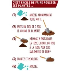 Terre Pour Sol Sablonneux Or Brun Sac De 20 L -Promesse de fleurs Magasin Terre pour sol sablonneux Or Brun sac de 40 L IF 17064 3