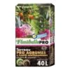 Terreau Klasmann Florabella Pro Agrumes Et Plantes Méditerranéennes UAB En Sac De 40 Litres 1 Terreau Klasmann Florabella Pro Agrumes Et Plantes Méditerranéennes UAB En Sac De 40 Litres -Promesse de fleurs Magasin Terreau Klasmann Florabella Pro Agrumes et Plantes Mediteranneennes 90966 1
