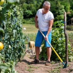 Binette Japonaise Leborgne NaturOvert 15 Binette Japonaise Leborgne NaturOvert -Promesse de fleurs Magasin binette japonaise naturovert 07t1