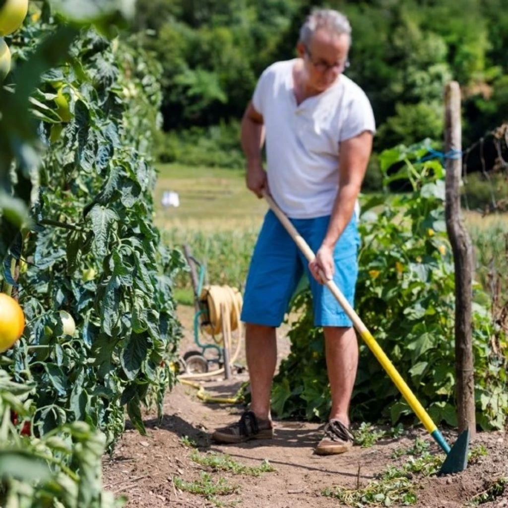 Binette Japonaise Leborgne NaturOvert 9 Binette Japonaise Leborgne NaturOvert – Image 7