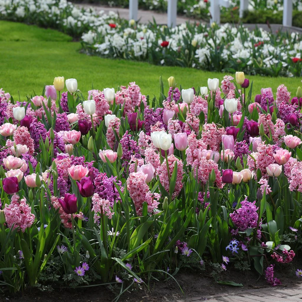 Collection Harmonie Romantique 4 Collection Harmonie Romantique – Image 2