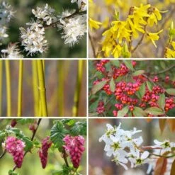 Kit Haie Des 4 Saisons Eco