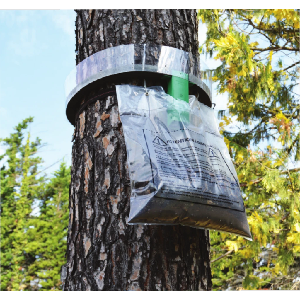 Kit De Forte Infection Pour Descente De Chenilles Processionnaires Du Pin Protecta 4 Kit De Forte Infection Pour Descente De Chenilles Processionnaires Du Pin Protecta – Image 2