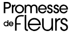 Promesse de fleurs Magasin