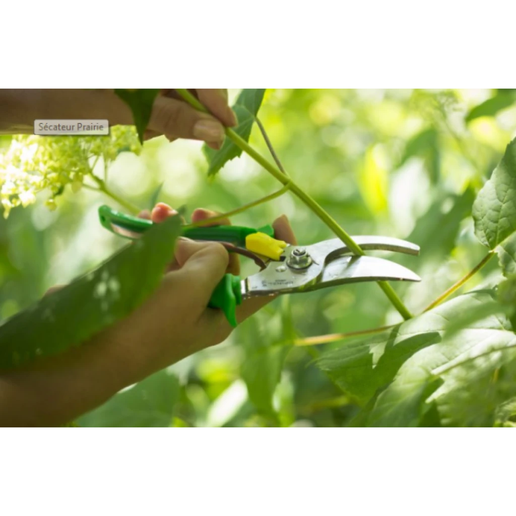 Sécateur Prairie Marque Opinel 5 Sécateur Prairie Marque Opinel – Image 3