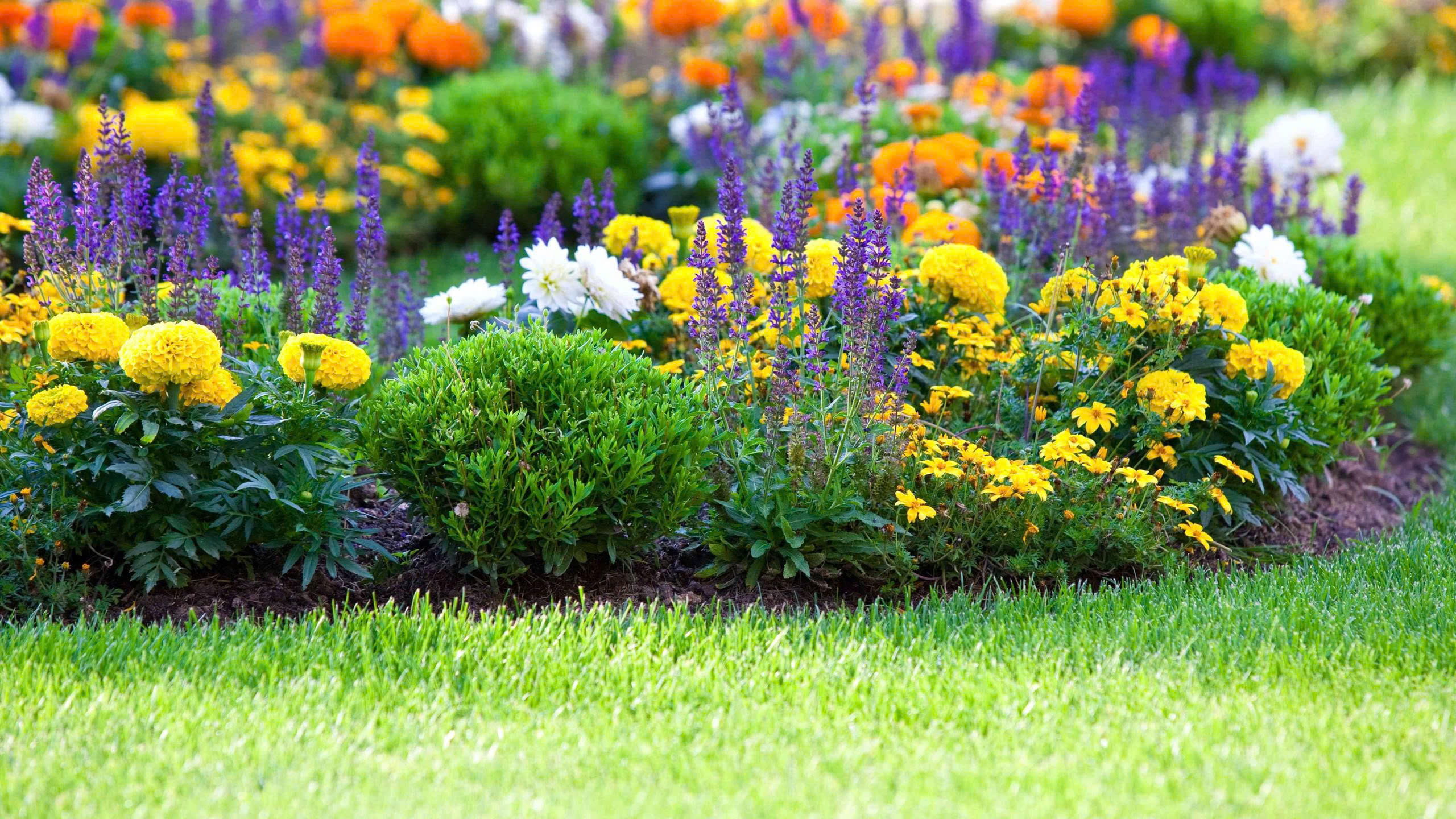 Promesse de fleurs Magasin -Promesse de fleurs Magasin z7452335085308 0af2fb0ee4eb7bc5d482dfa7bdb06afc 1